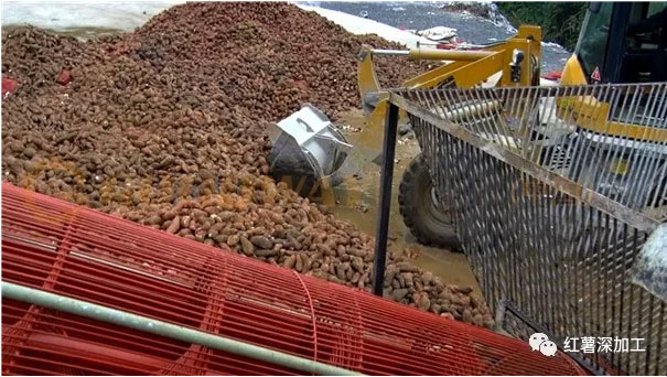 投资和建造工厂购买一整套红薯淀粉加工设备的必要性