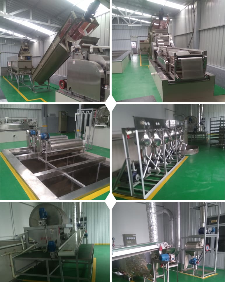 中国200吨日制红薯淀粉生产线