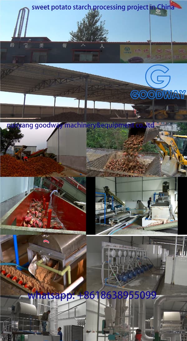 中国红薯淀粉加工项目
